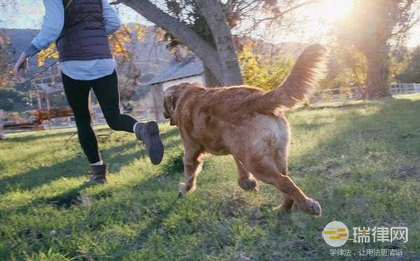 岳阳市养犬管理办法最新【全文】