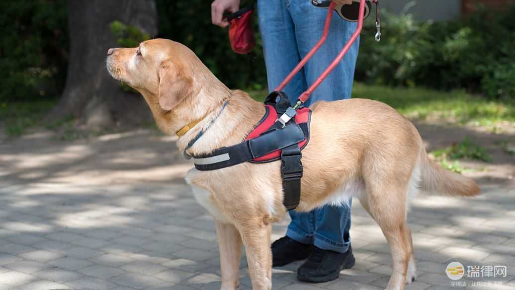 呼和浩特市养犬管理规定