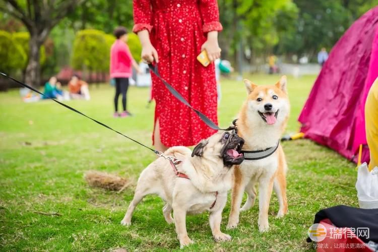  桂林市养犬管理条例