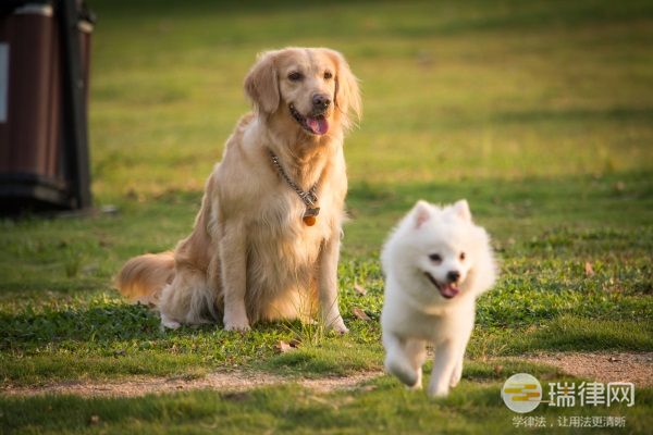 马鞍山市养犬管理条例