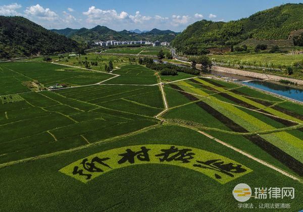 湖北省乡村振兴促进条例