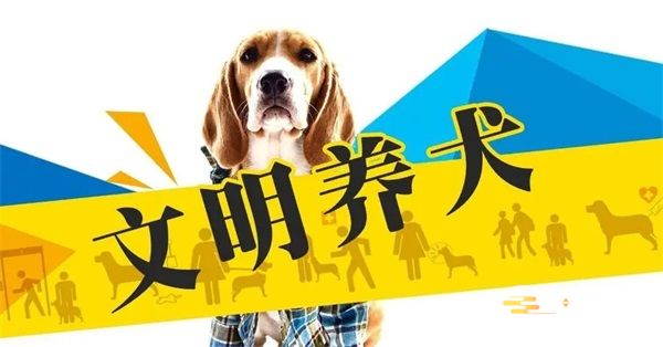 嘉兴市养犬管理条例