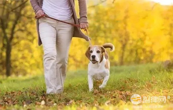 金华市养犬管理规定