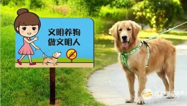 重庆市养犬管理条例2023最新版全文