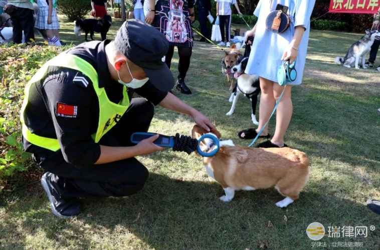 广西壮族自治区犬类管理暂行办法修订本最新全文2023