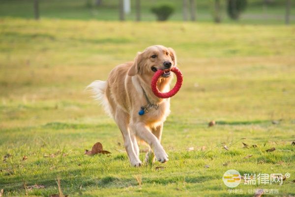  秦皇岛市养犬管理条例