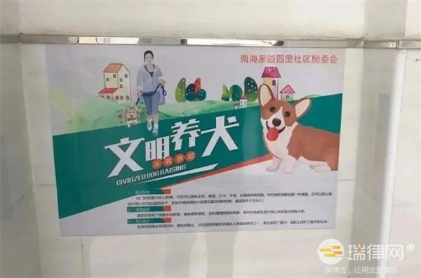 衢州市养犬管理条例2023最新版全文