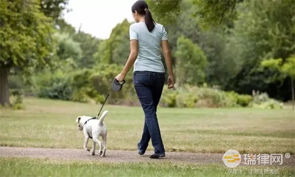 包头市养犬管理条例