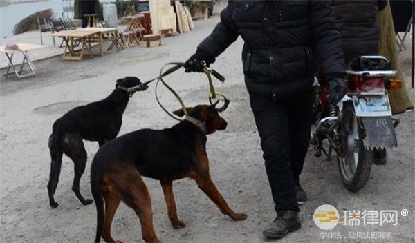 湖州市养犬管理规定