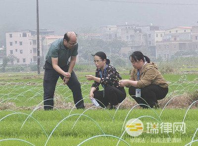 2024年福建省土地监察条例最新版全文