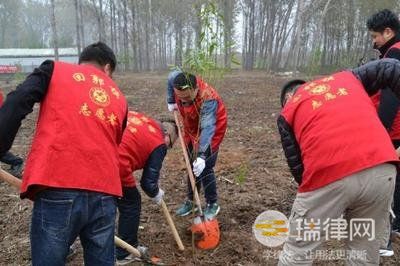 2024年银川市全民义务植树条例最新版全文