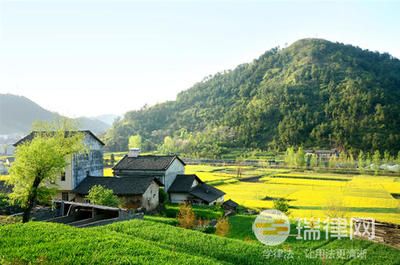 村书记可以私自买卖土地吗(农村土地如何合法转让)